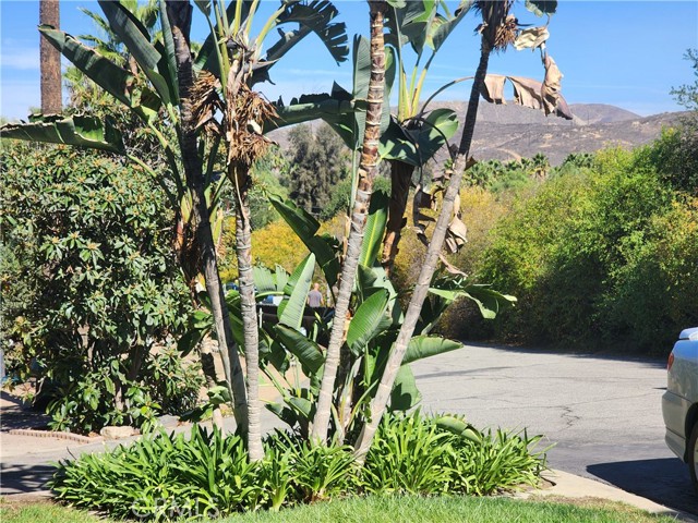 Detail Gallery Image 38 of 41 For 7891 Minnesota, Corona,  CA 92881 - 3 Beds | 2 Baths