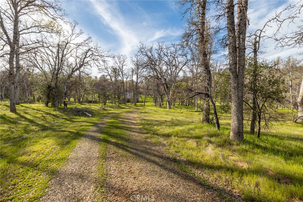 MLS #MP25083709 image #14
