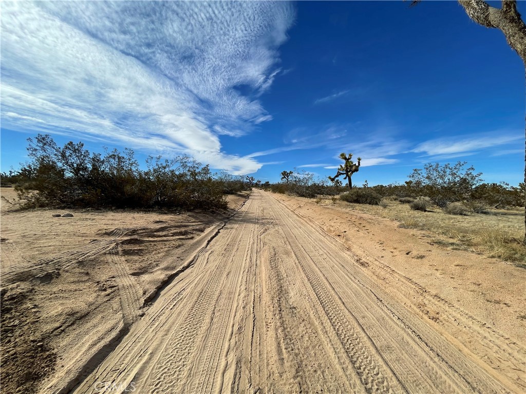 MLS #JT24007447 image #2