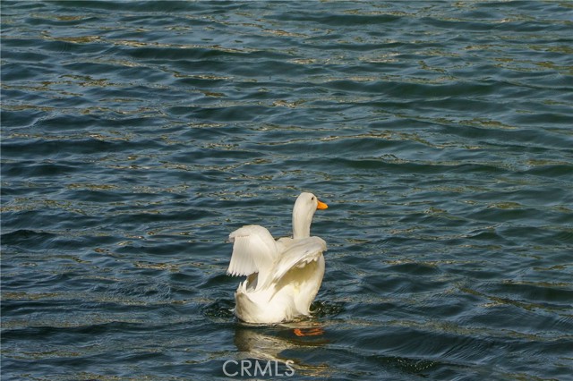 Detail Gallery Image 35 of 46 For 35109 Highway 79 #254,  Warner Springs,  CA 92086 - 2 Beds | 2 Baths