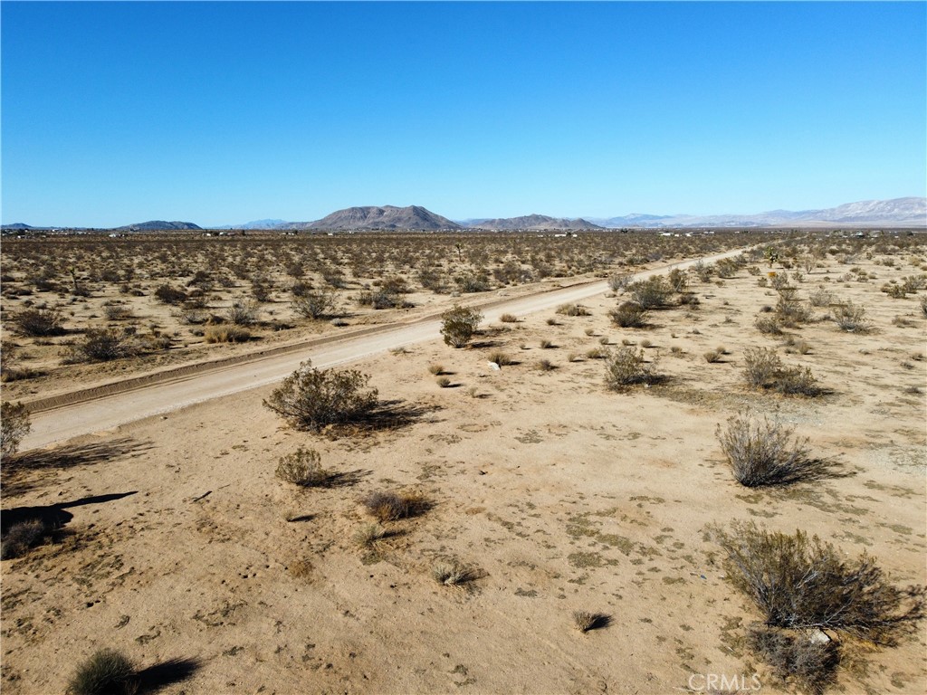 MLS #JT25073655 image #6