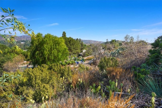 Detail Gallery Image 25 of 33 For 10557 Mahoney Dr, Shadow Hills,  CA 91040 - 3 Beds | 2 Baths