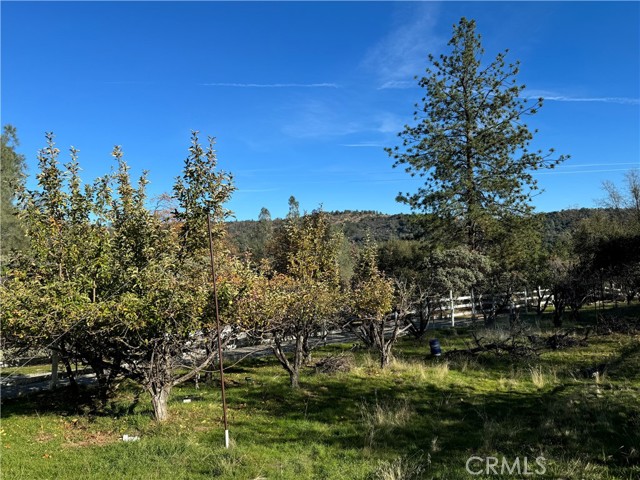 Detail Gallery Image 9 of 66 For 47515 Road 620, Oakhurst,  CA 93644 - 2 Beds | 3 Baths