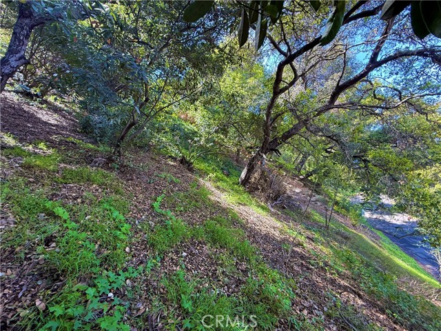 11472 Laurelcrest dr, Studio City CA: https://media.crmls.org/medias/cca61b7d-7a05-458f-b695-66702d873ab4.jpg