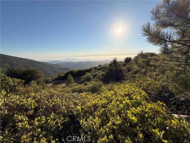 Front Image Thumbnail for CRND26169671