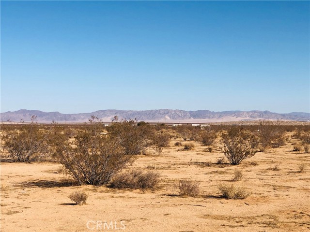 Detail Gallery Image 4 of 9 For 0 Venus Dr, Joshua Tree,  CA 92252 - – Beds | – Baths