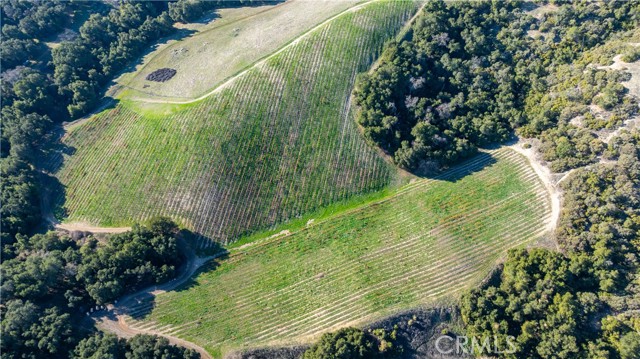 Detail Gallery Image 32 of 36 For 0 Adelaida Road, Paso Robles,  CA 93446 - – Beds | – Baths