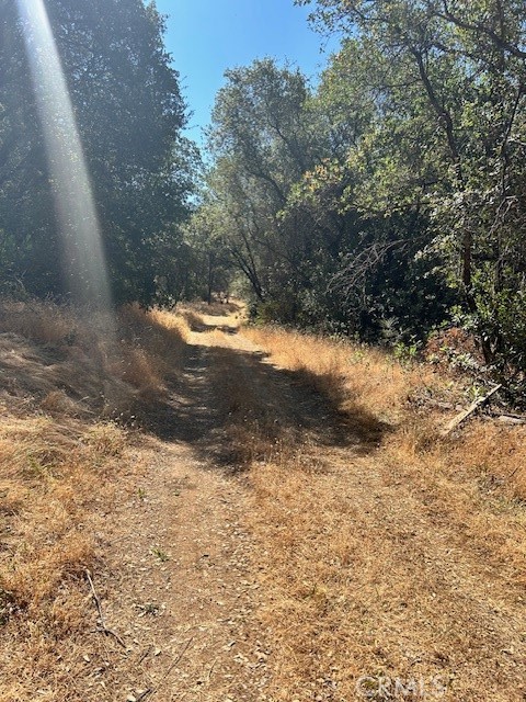 Detail Gallery Image 14 of 21 For 1403 Forbestown, Oroville,  CA 95966 - – Beds | – Baths