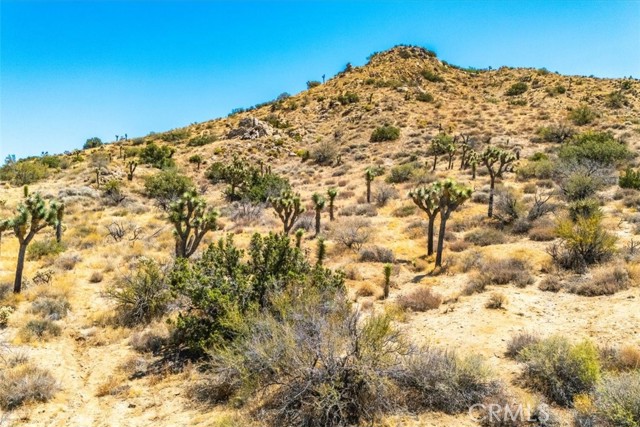 Detail Gallery Image 8 of 62 For 8553 Kickapoo Trl, Yucca Valley,  CA 92284 - – Beds | – Baths