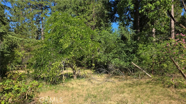 13793 Nimshew Road, Magalia CA: https://media.crmls.org/medias/ccc4c636-67ba-4f82-8ade-327bab9c02c7.jpg