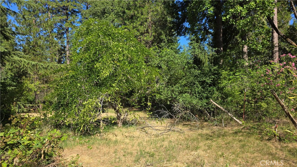 https://media.crmls.org/medias/ccc4c636-67ba-4f82-8ade-327bab9c02c7.jpg?preset=X-Large