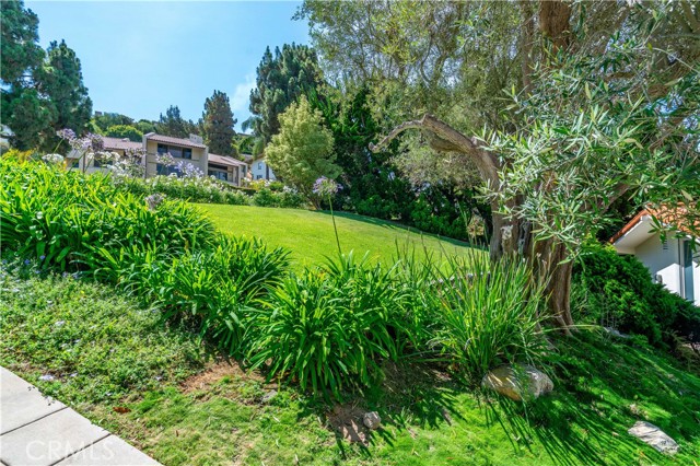 1232 Via Coronel, Palos Verdes Estates CA: https://media.crmls.org/medias/ccc65564-0922-43d8-9fe3-fa71c370382c.jpg