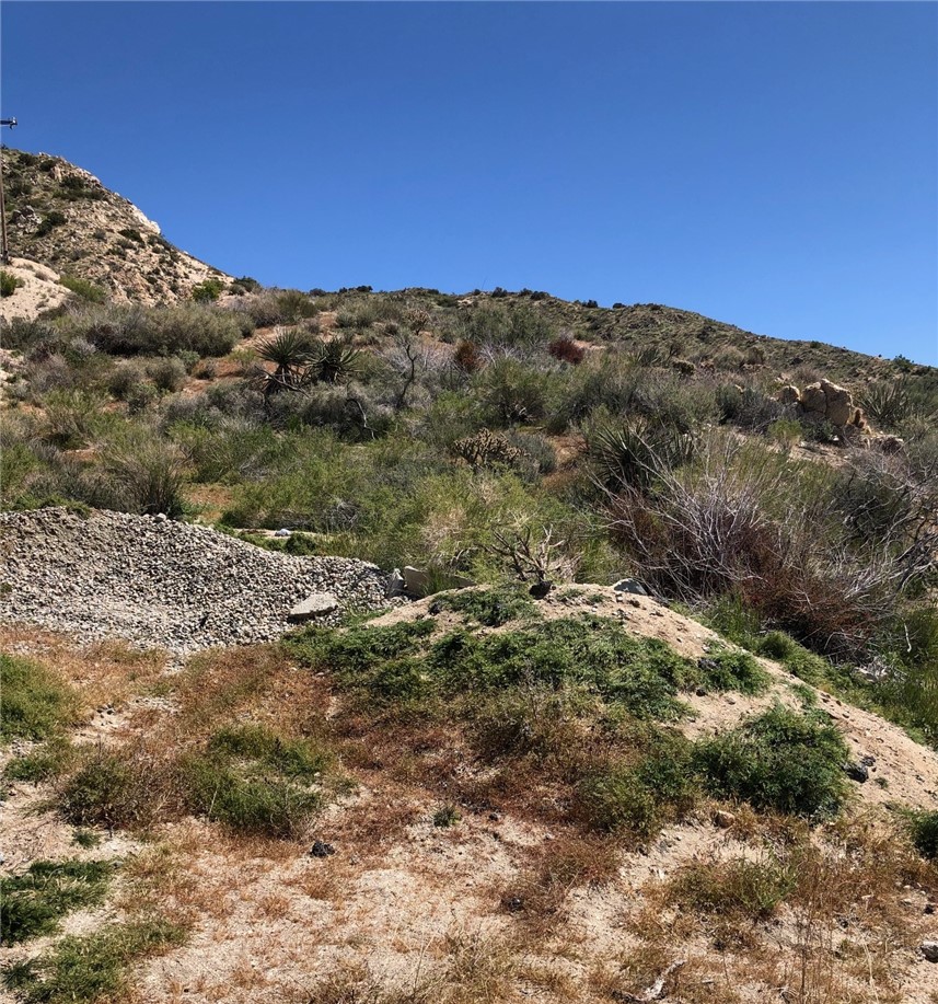 Detail Gallery Image 5 of 10 For 25 Acres  Apn# 0582081110000 / 0582081100000, Morongo Valley,  CA 92256 - – Beds | – Baths