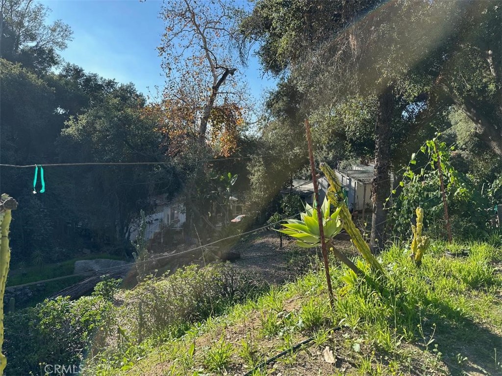 https://media.crmls.org/medias/ccc71d06-a55a-4b40-8e0f-062f65b97054.jpg?preset=X-Large