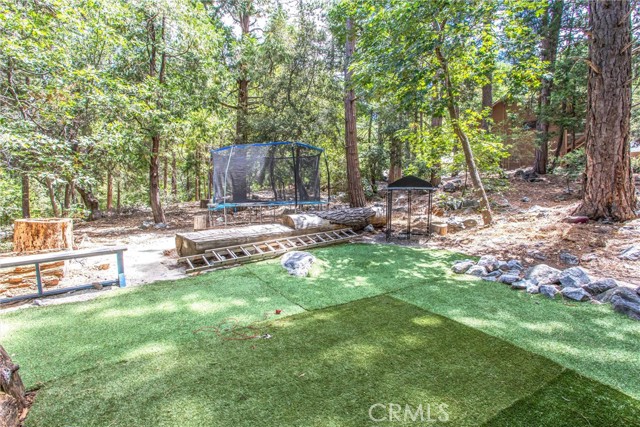 9269 Wood Road, Forest Falls CA: https://media.crmls.org/medias/ccd759de-3fef-4510-bae2-303f16f554af.jpg