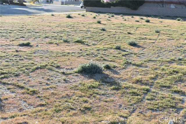 Detail Gallery Image 20 of 20 For 26456 Blue Water, Helendale,  CA 92342 - – Beds | – Baths