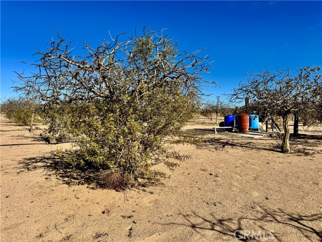 Detail Gallery Image 43 of 67 For 44823 Silver Valley, Newberry Springs,  CA 92365 - 2 Beds | 2 Baths