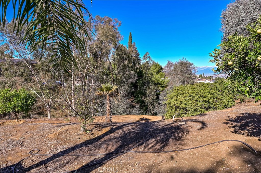 MLS #OC25274602 image #34