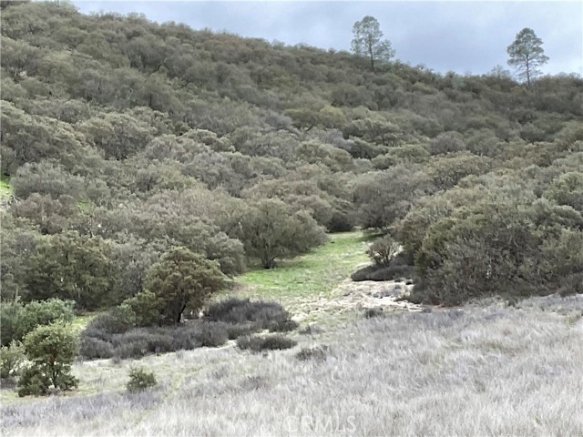 Detail Gallery Image 17 of 20 For 104 Paulsen Rd, Lockwood,  CA 93932 - – Beds | – Baths