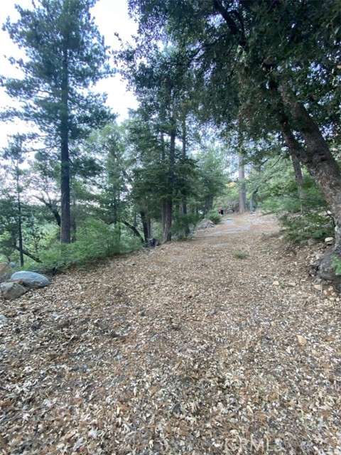 0 Ca-38, Angelus Oaks CA: https://media.crmls.org/medias/ccea2be0-163c-4c95-972e-b680cdd0f5c3.jpg