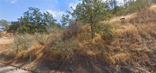 Front Image Thumbnail for CRND25249481