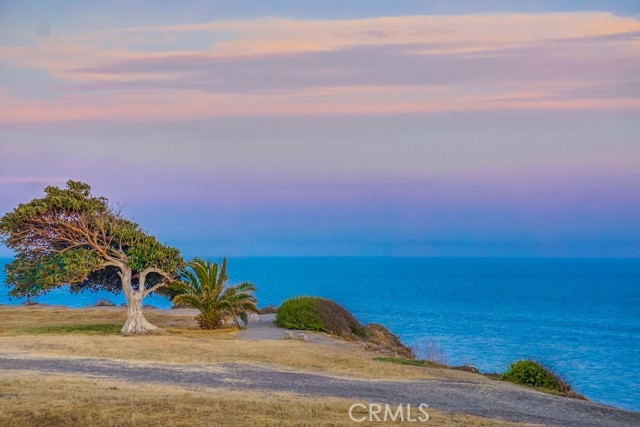 690 W Paseo Del Mar, San Pedro CA: https://media.crmls.org/medias/ccf1ab01-dc61-4f88-b615-419474414fee.jpg