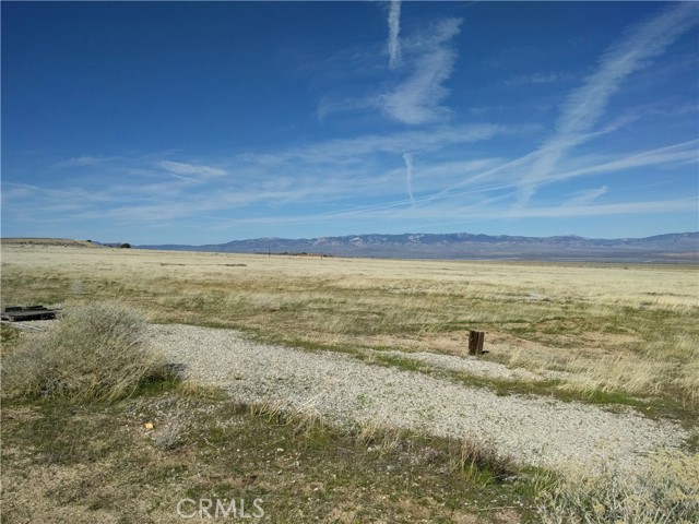 Front Image Thumbnail for CRSR26100834