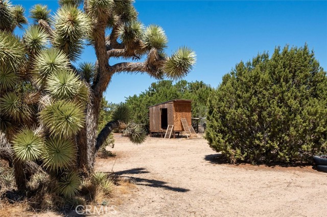 2056 W Avenue O, Palmdale CA: https://media.crmls.org/medias/ccf900b3-d76d-471c-af41-179a036d4028.jpg