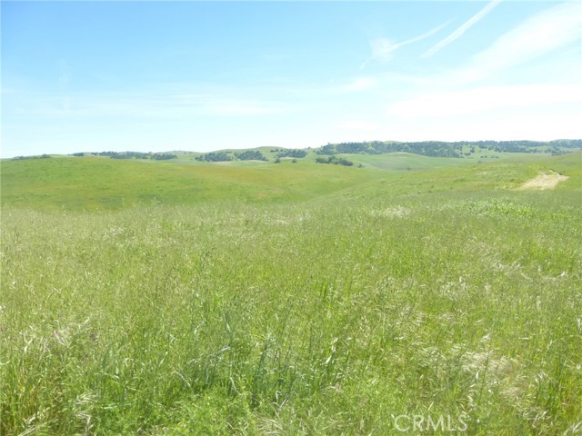 Detail Gallery Image 5 of 42 For 0 Douglas Rd. (Lot 42), San Miguel,  CA 93451 - – Beds | – Baths