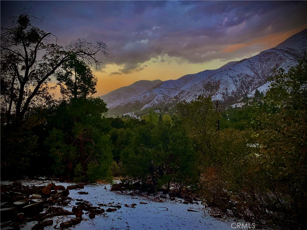 https://media.crmls.org/medias/ccffb4d0-1fc2-419b-a101-e151b06a5fb5.jpg?preset=X-Large
