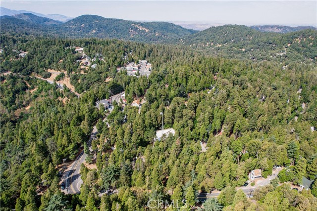 0 Crest Forest Drive, Crestline, California 92325, ,Land,For Sale,0 Crest Forest Drive,CRCV24039397