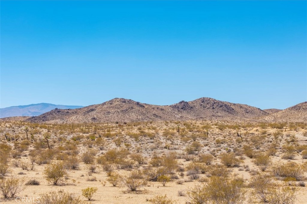 MLS #JT25173166 image #17