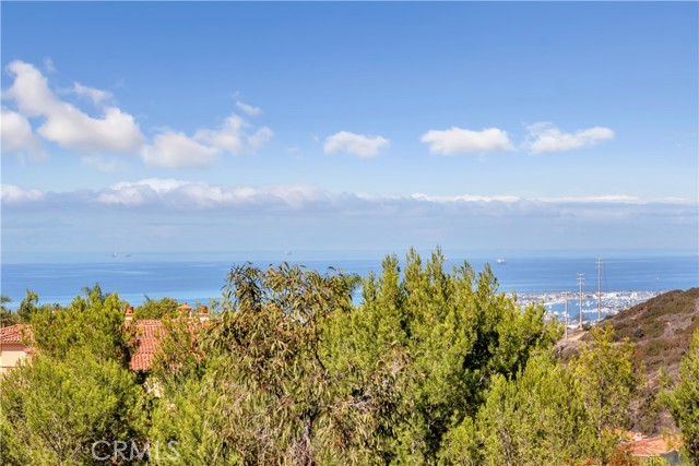 Detail Gallery Image 20 of 20 For 1 Savona Ct, Newport Coast,  CA 92657 - 2 Beds | 2 Baths