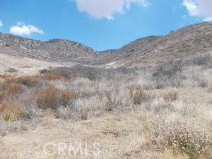 1 Vac/Cor Shallow Spring Rd/Cach Street, Leona Valley, California 93551, ,Land,For Sale,1 Vac/Cor Shallow Spring Rd/Cach Street,CRSR23208734