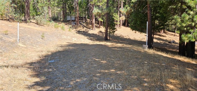 Detail Gallery Image 11 of 40 For 108 Forest Rd, North Fork,  CA 93643 - – Beds | – Baths