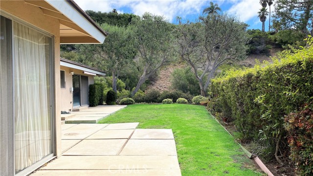 Back yard off of living room