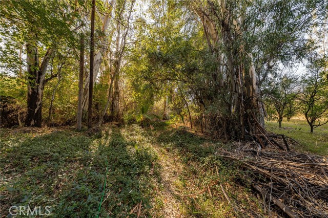 Detail Gallery Image 15 of 41 For 2700 Mill Creek Rd, Mentone,  CA 92359 - 5 Beds | 4 Baths