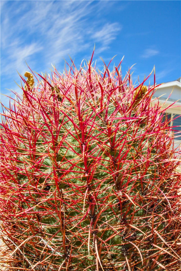 MLS #OC25244035 image #31