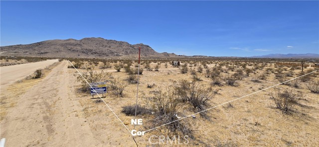 Front Image Thumbnail for CRDW26164966