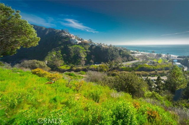 21692 Ocean Vista Drive, Laguna Beach CA: https://media.crmls.org/medias/cd1f52cf-2de9-4beb-afc6-e0e63fd16b16.jpg