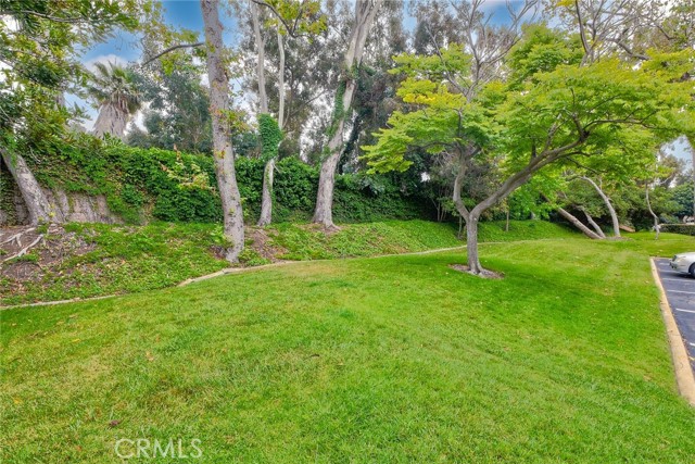 543 Rockport Court, Encinitas CA: https://media.crmls.org/medias/cd22af66-b9f2-4149-a70a-1e242c04ad43.jpg