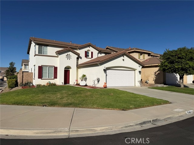 Front Image Thumbnail for CROC25247395