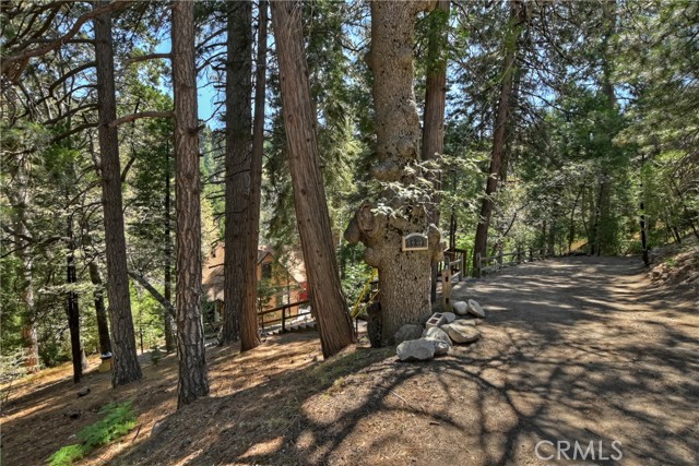 Detail Gallery Image 35 of 46 For 26293 State Highway 189, Twin Peaks,  CA 92391 - 3 Beds | 2 Baths