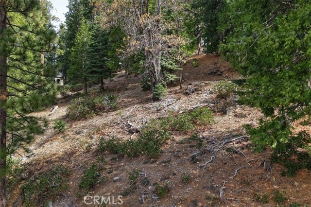 Detail Gallery Image 5 of 24 For 7486 Henness Ridge, Yosemite,  CA 95389 - – Beds | – Baths