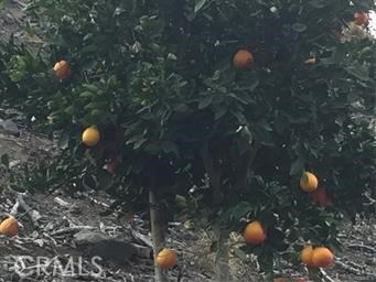 Detail Gallery Image 5 of 11 For 0 via Barranca, Temecula,  CA 92590 - – Beds | – Baths