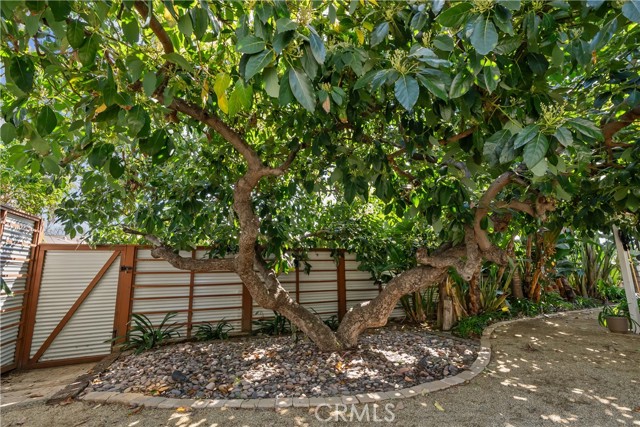 Detail Gallery Image 47 of 59 For 10500 Swinton Ave, Granada Hills,  CA 91344 - 3 Beds | 2 Baths