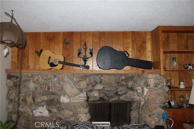 Living room fireplace