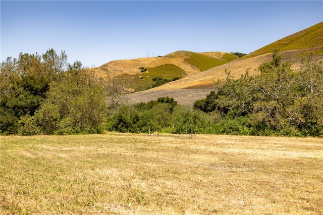 680 Spring Canyon Lane, Nipomo CA: https://media.crmls.org/medias/cd471898-8f4f-4045-bbd3-43b08828bf81.jpg
