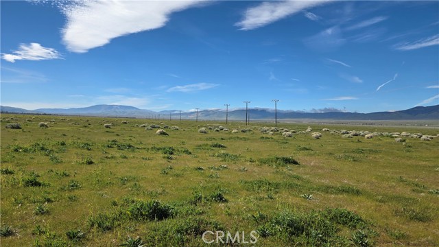 Detail Gallery Image 32 of 39 For 0 Avenue B-8 Vicinity 265th St W, –,  CA 93536 - – Beds | – Baths