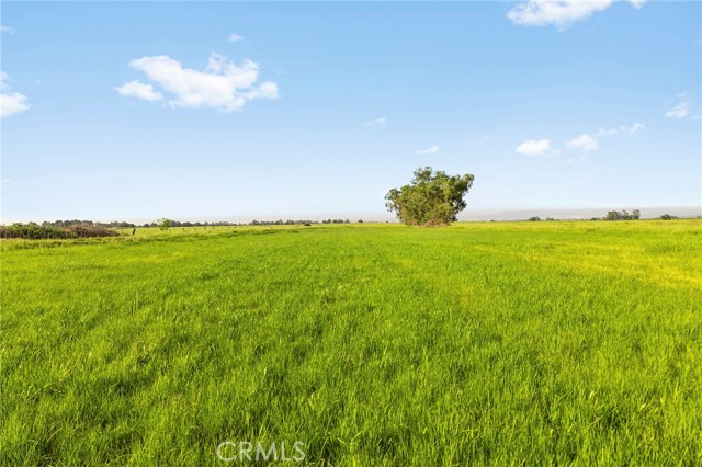 417 Cox Lane, Oroville CA: https://media.crmls.org/medias/cd634e5d-7119-4828-8e60-a3f30c7de259.jpg